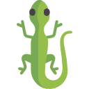 Lizard